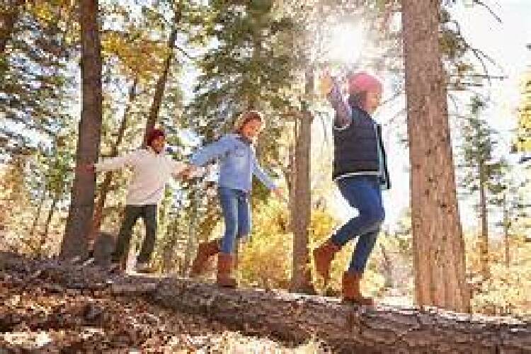 Kinder balancieren über einen Baumstamm im Wald